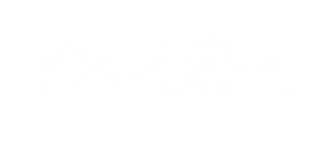 mio-2-1-300x132