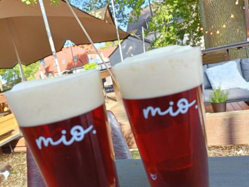 WhatsApp-Image-2023-07-05-at-17.04.26-2